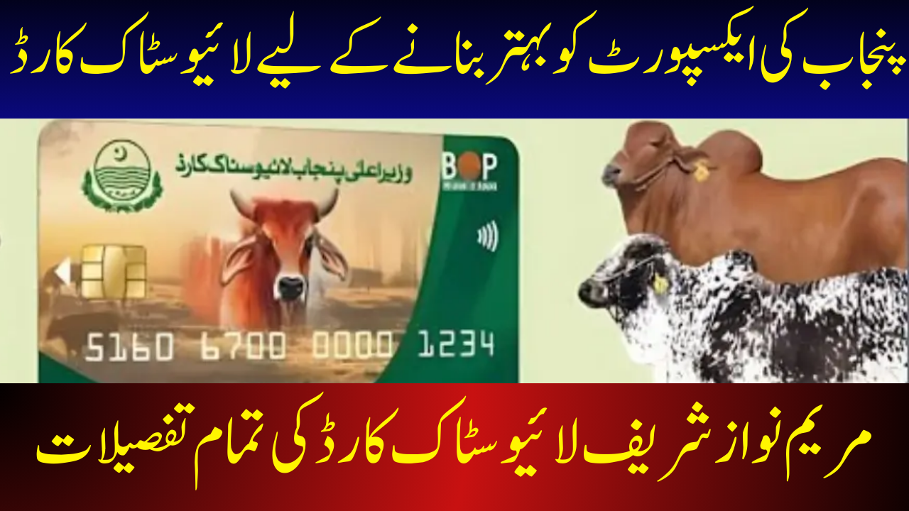 Livestock Card To Improve Export of Punjab