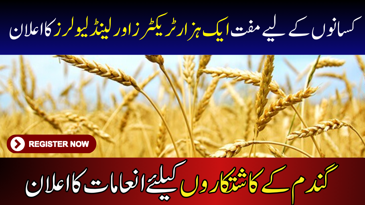 Wheat Cultivation Program