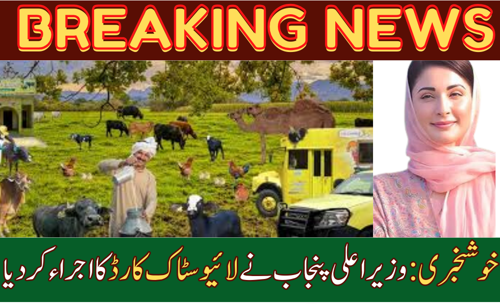 CM Punjab Livestock Card