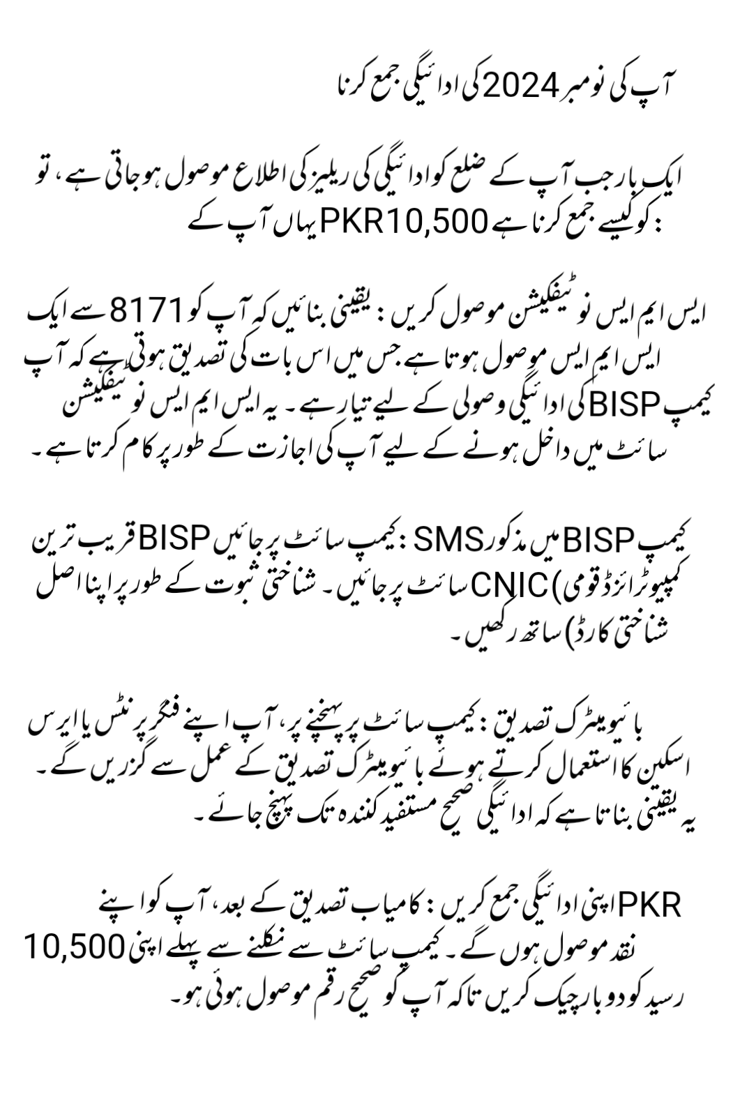 Benazir Income Support Program