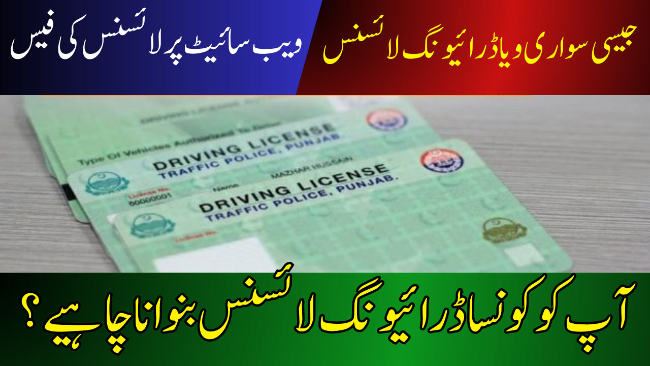 Punjab Car and Motorcycle Driving License