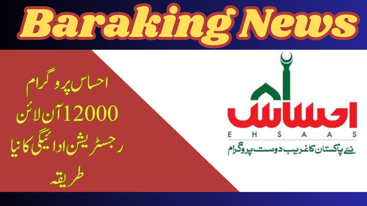 Ehsaas Program 12000 Online Registration: