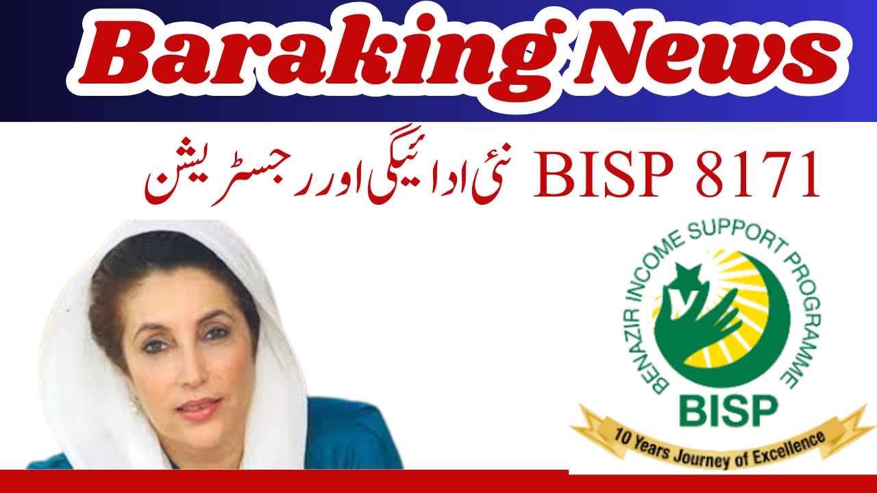 BISP 8171 New Payments: