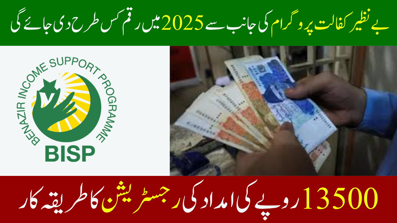 BISP 8171 Financial balance