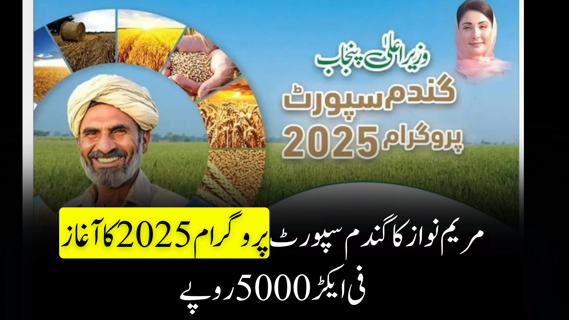 Wheat Support Program May 2025